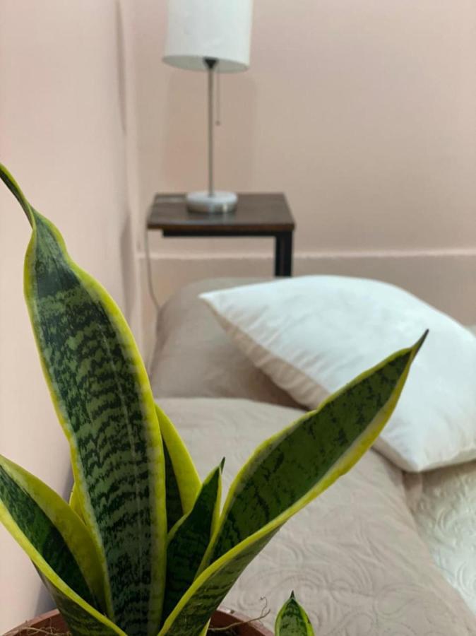 La Estancia Ideal Apartamentos La Fortuna Eksteriør billede